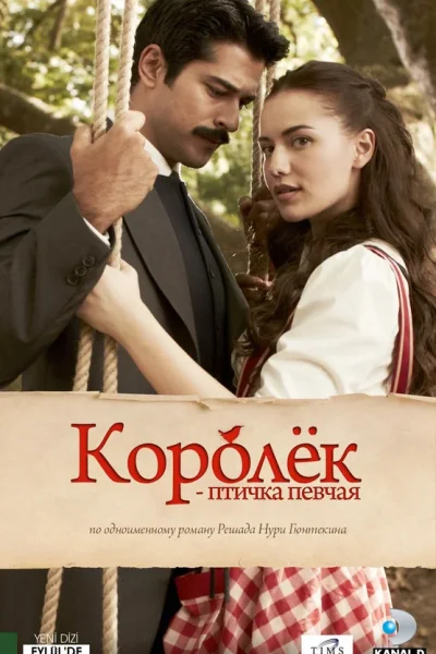 Турецкий сериал Королёк – птичка певчая 2013 года