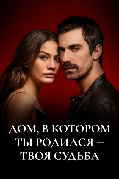 Турецкий сериал Дом, в котором ты родился – твоя судьба 2019 года